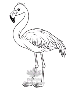 Free Birds coloring pages to print at home