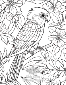 Free Birds coloring pages to print at home