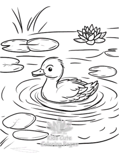 Simple Birds coloring page for toddlers