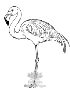 Birds coloring page for classroom activities