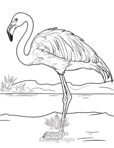 Easy Birds coloring sheet for young children