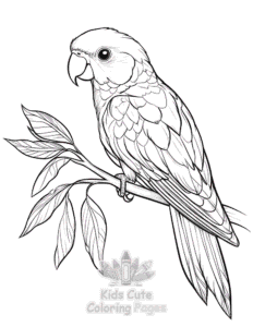 Birds coloring page for boys, printable at home