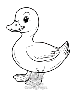 Birds coloring page for boys, printable at home