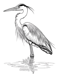 Birds coloring page for classroom activities