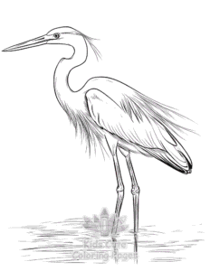 Easy Birds coloring sheet for young children