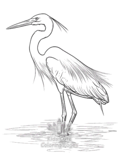 Birds coloring page for girls, free to print