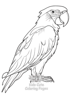 Easy Birds coloring sheet for young children