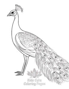 Birds coloring page for classroom activities