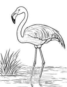 Free printable Birds coloring page for kids
