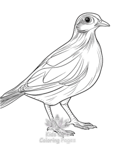 Printable Birds coloring sheet for preschoolers