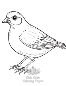 Free Birds coloring pages to print at home