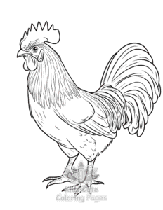 Birds coloring page for classroom activities