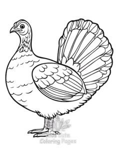 Easy Birds coloring sheet for young children