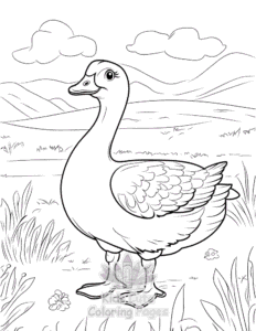 Birds coloring page for classroom activities