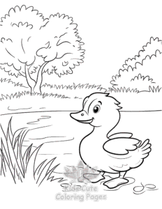 Printable Birds coloring sheet for preschoolers