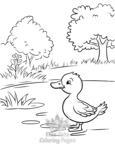 Free Birds coloring pages to print at home