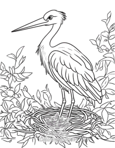 Free printable Birds coloring page for kids