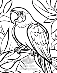 Birds coloring page for girls, free to print