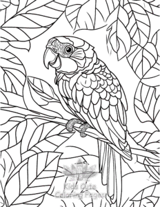 Birds coloring page for boys, printable at home