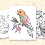 Birds coloring pages: a crayon colored sample and free printable sheets