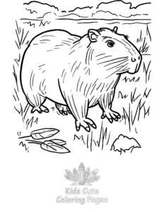 Printable Capybara coloring sheet for preschoolers