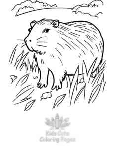 Easy Capybara coloring sheet for young children