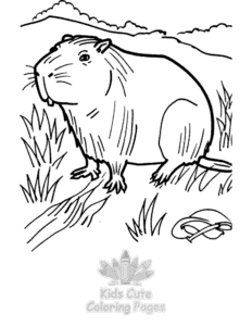 Free printable Capybara coloring page for kids
