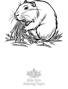 Capybara coloring page for boys, printable at home