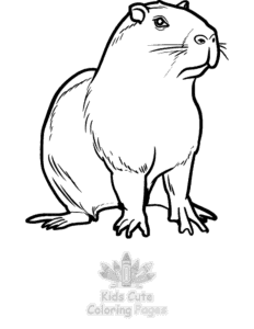 Simple Capybara coloring page for toddlers