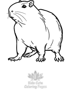 Free Capybara coloring pages to print at home