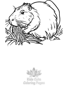 Simple Capybara coloring page for toddlers