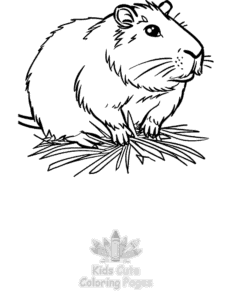Free Capybara coloring pages to print at home