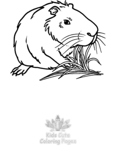 Capybara coloring page for classroom activities