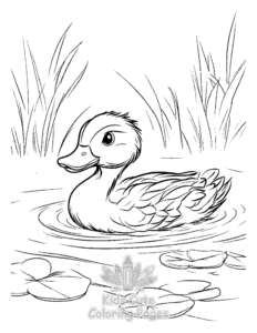 Free printable Duck coloring page for kids