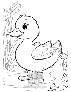 Duck coloring page for girls, free to print