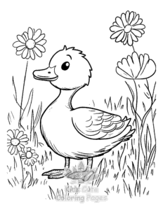 Duck coloring page for boys, printable at home