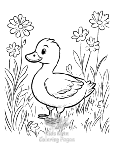 Printable Duck coloring sheet for preschoolers