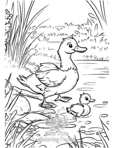 Free Duck coloring pages to print at home