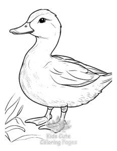 Duck coloring page for girls, free to print