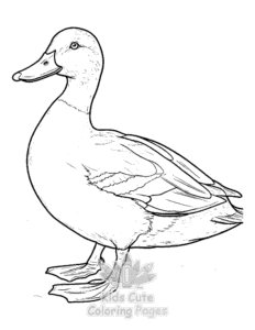Free Duck coloring pages to print at home
