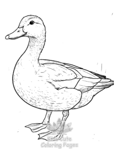 Easy Duck coloring sheet for young children
