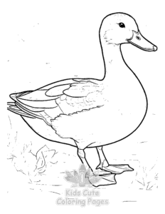 Free printable Duck coloring page for kids