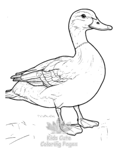 Duck coloring page for girls, free to print