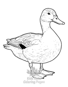 Simple Duck coloring page for toddlers