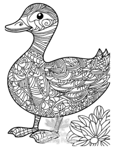 Free Duck coloring pages to print at home