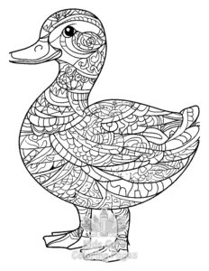 Duck coloring page for classroom activities