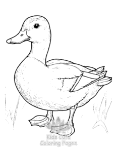 Simple Duck coloring page for toddlers
