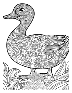 Duck coloring page for girls, free to print