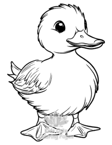 Free Duck coloring pages to print at home