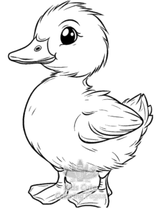 Duck coloring page for classroom activities